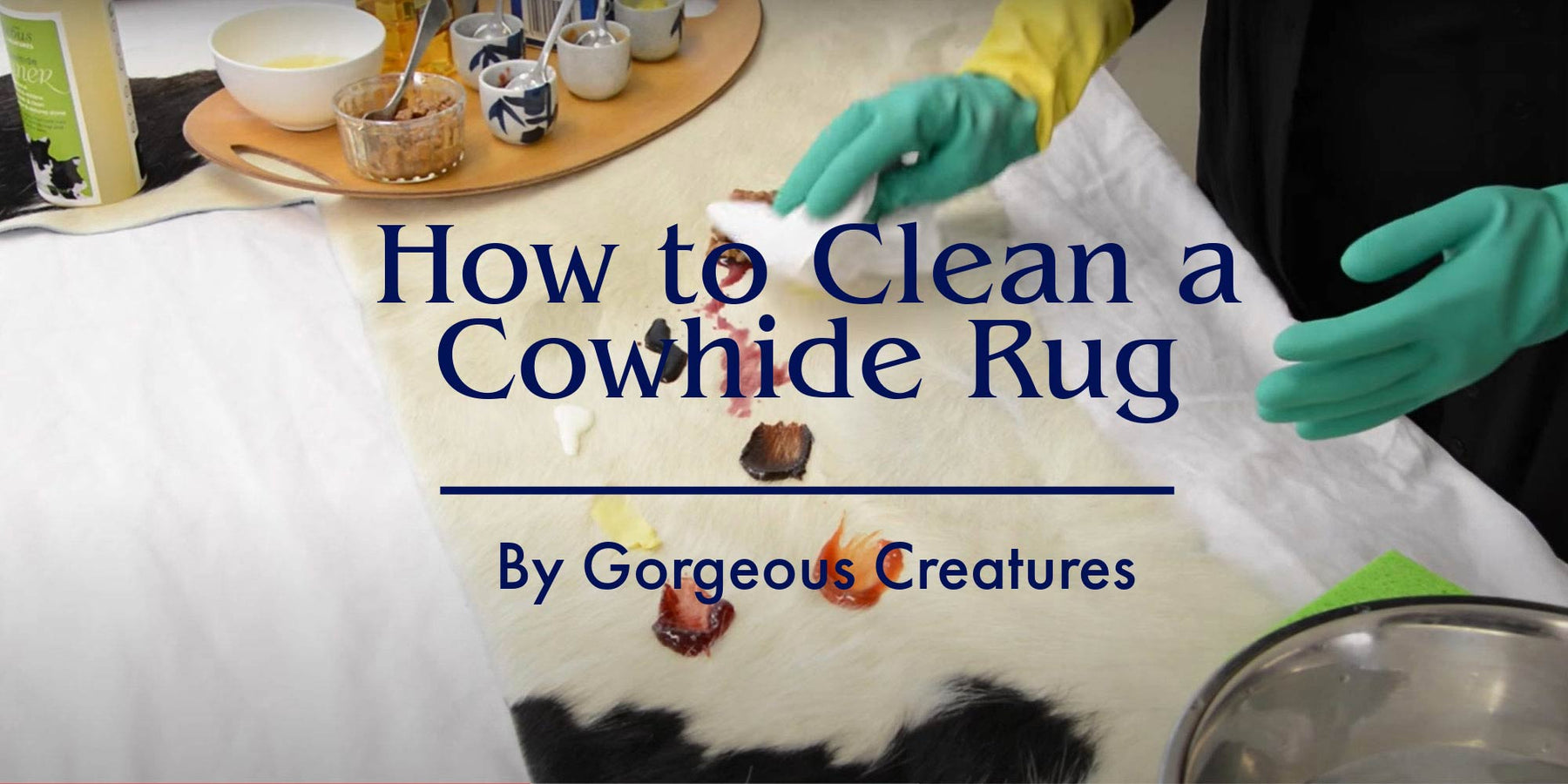 How to Clean a Cowhide Rug Video