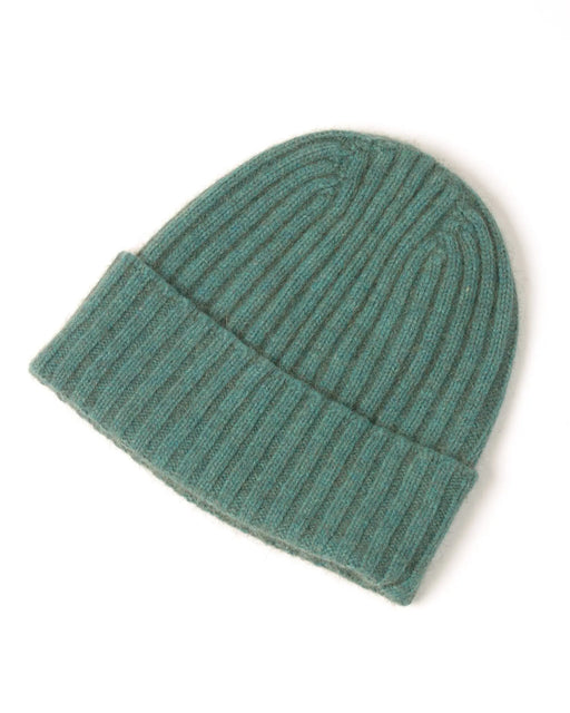 Mist green ribbed beanie in possum merino wool NX480