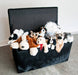 Cowhide storage trunk ottoman furniture NZ made